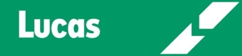SALE - 2100+ various bulbs - RING, LUCAS SALE - 2100+ various bulbs - RING, LUCAS