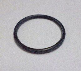 Pierścień uszczelniający pompy EPIC 5855-30GY