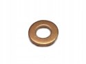 Delphi 9001-850D Pierścień uszczelniający,