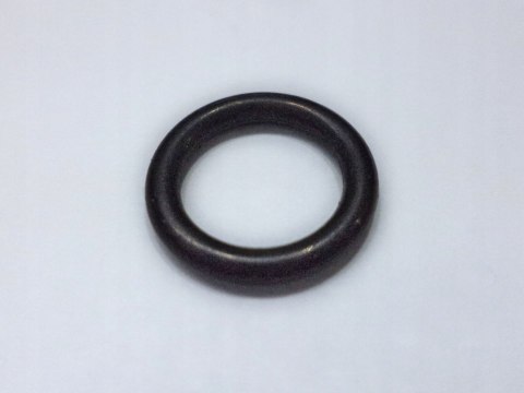 O RING (Pack Qty 10)