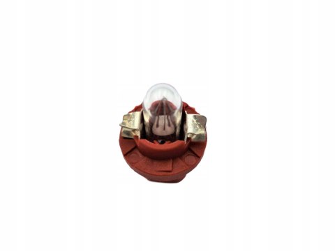 BULB BULB