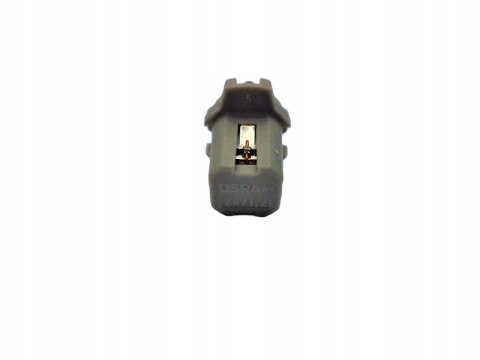Żarówka BAX10D 24V 1.2W Żarówka BAX10D 24V 1.2W