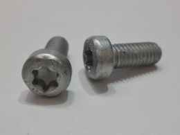 SCREW (Pack Qty 10)