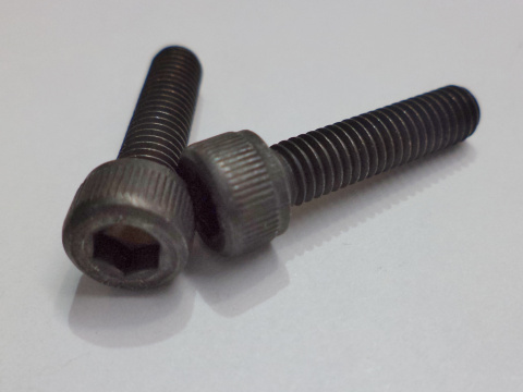 Screw Screw