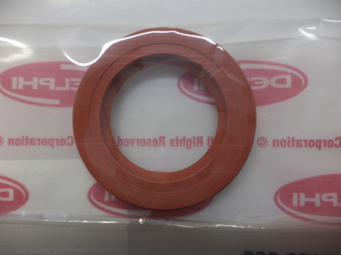 OIL SEAL OIL SEAL