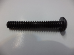 COVER HOLD DOWN SCREW