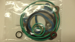 Seal overhaul kit