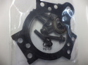 Gasket kit flange Lion V6