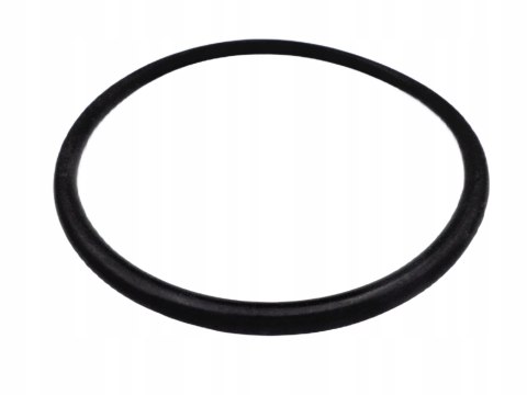 Ring, Uszczelka termostatu, BMW,AUDI, RMG28/1 Ring, Uszczelka termostatu, BMW,AUDI, RMG28/1