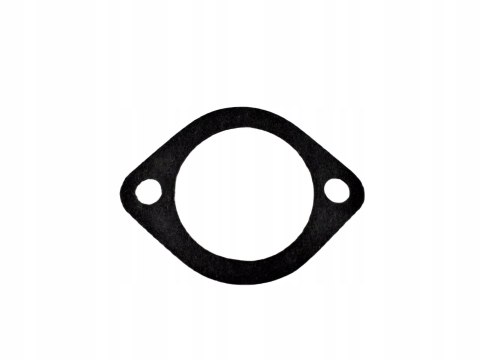 Ring, Uszczelka termostatu NISSAN STANZA, RMG56/1 Ring, Uszczelka termostatu NISSAN STANZA, RMG56/1
