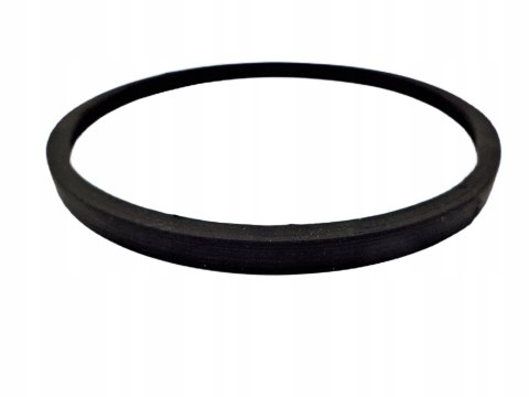 Ring, Uszczelka termostatu RENAULT, RMG24/1 Ring, Uszczelka termostatu RENAULT, RMG24/1