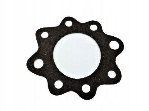 Ring, Uszczelka termostatu, RMG31,1 Ring, Uszczelka termostatu, RMG31,1
