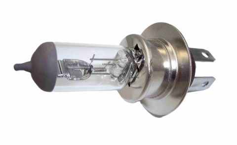 Żarówka halogenowa 12V 60/55W P36T