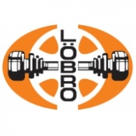 LOBRO Zestaw przegubu FORD (niekompletny)